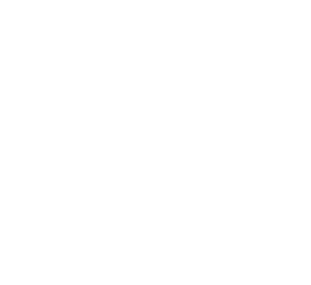 Virgin Mobile